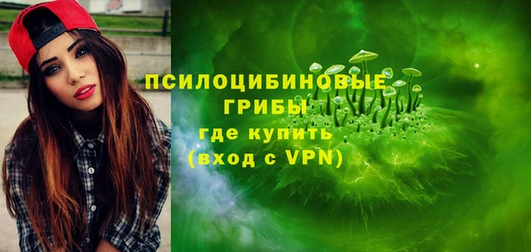 МДПВ Алексин