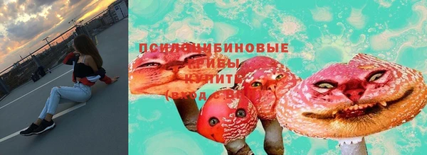 МДПВ Алексин