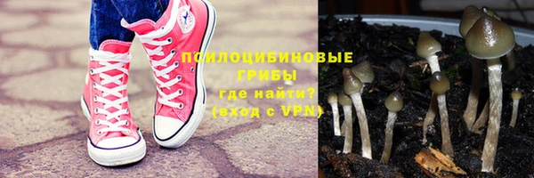 трава Алзамай