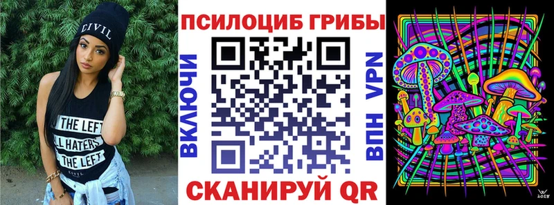 Галлюциногенные грибы Psilocybine cubensis  магазин  наркотиков  Краснотурьинск 