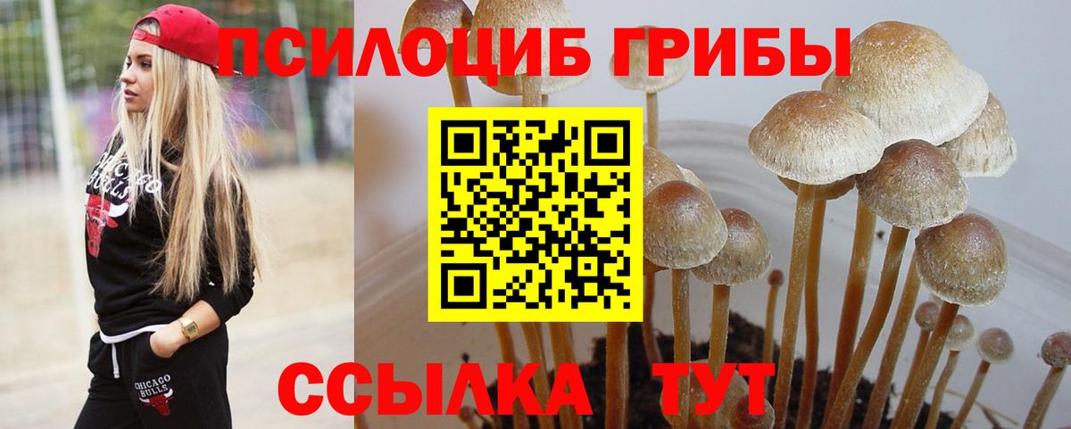 Псилоцибиновые грибы GOLDEN TEACHER  дарнет шоп  Краснотурьинск  Галлюциногенные грибы Psilocybe  Вход с VPN 