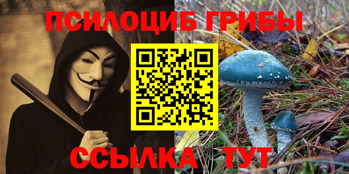 Псилоцибиновые грибы ЛСД Краснотурьинск